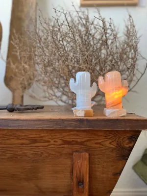 Onyx Cactus Lamp (FREE SHIPPING)