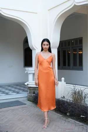 Sari SlipTencel Satin Dress