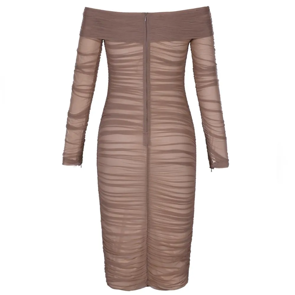Sexy Sheer Ruched Dress